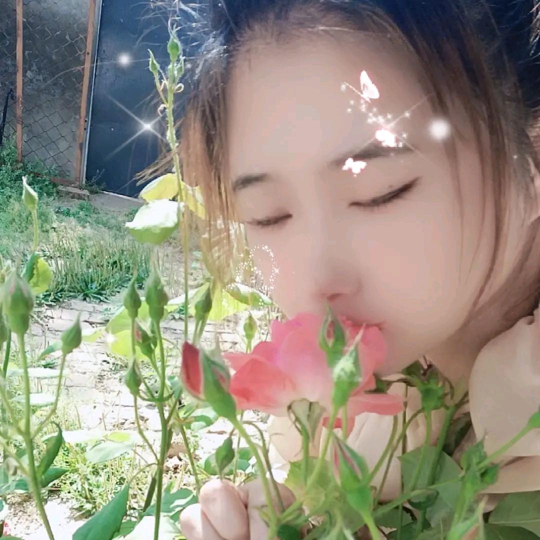 潇灰灰加工厂