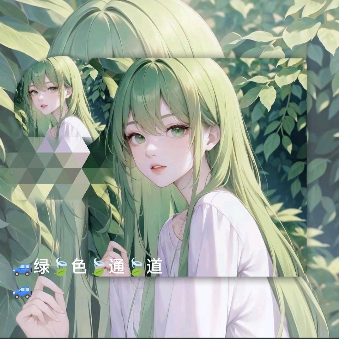 🚙绿🍃色🍃通🍃道🚙