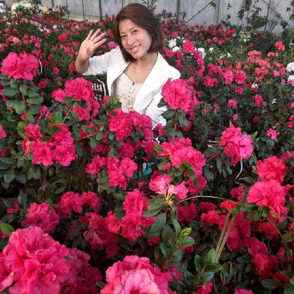 《ʅ💖阳光💕》