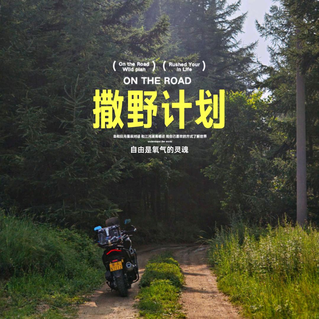 二胎奶爸骑极核