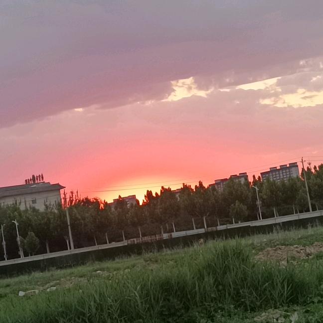 月月妮