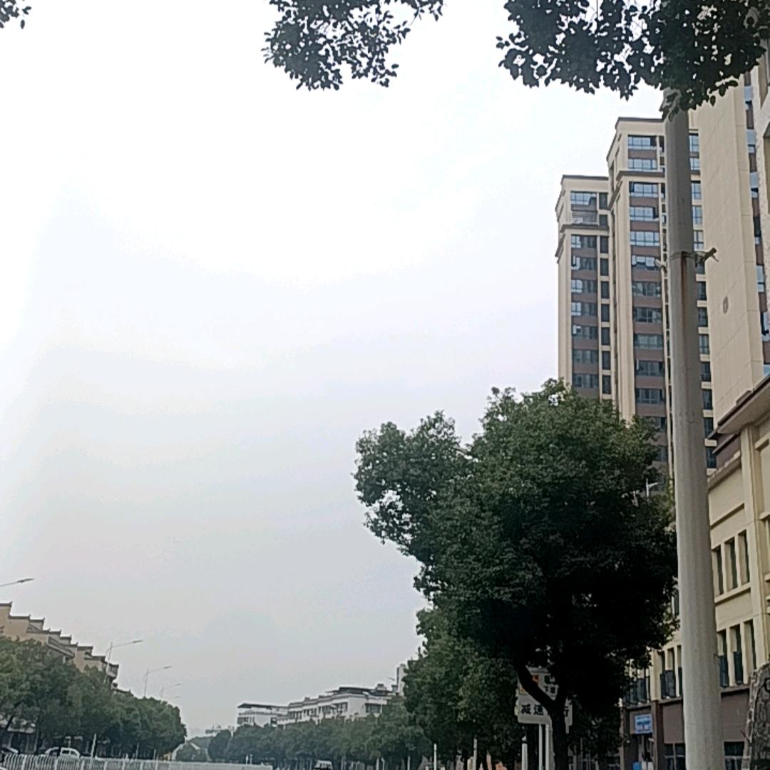 水果茶