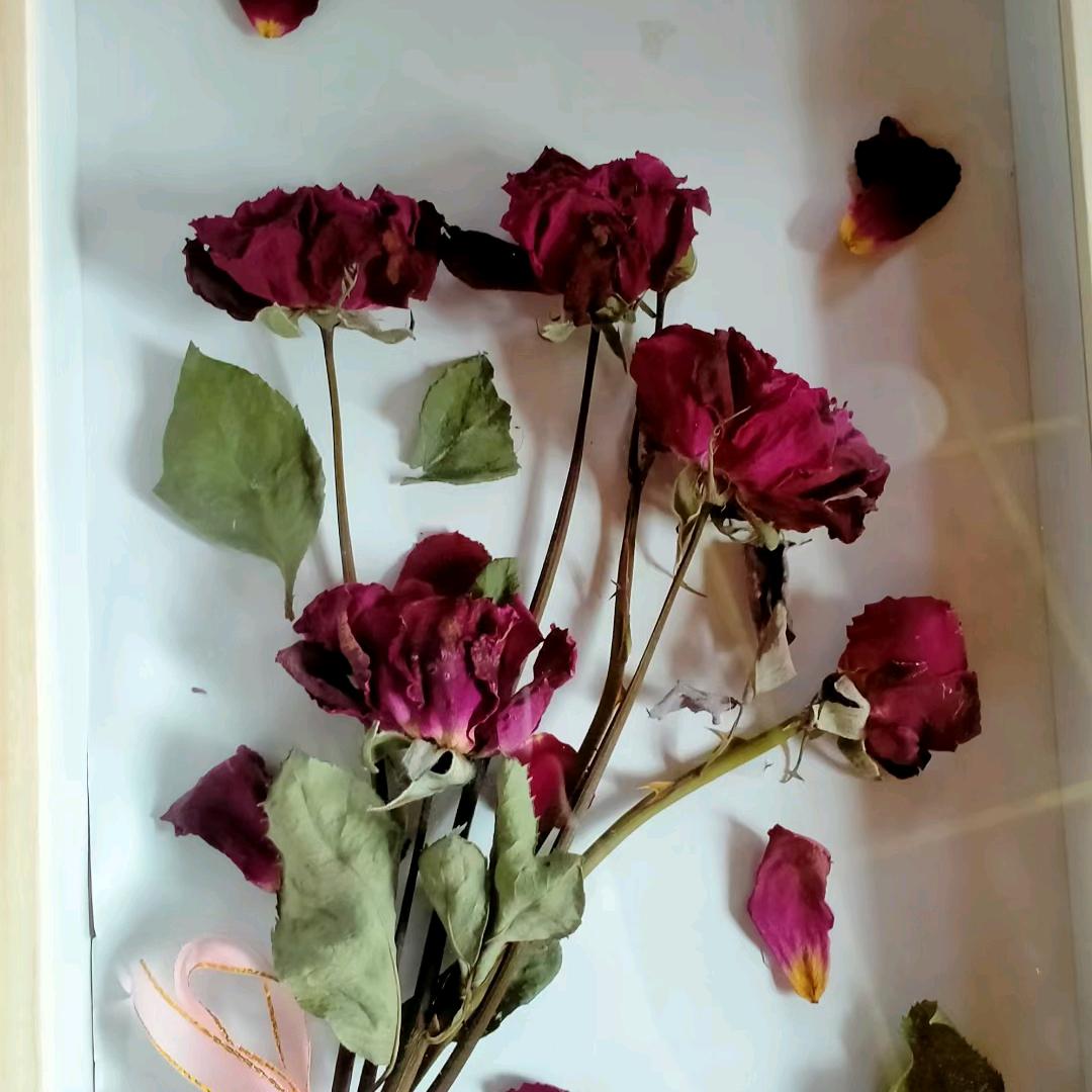 算了吧