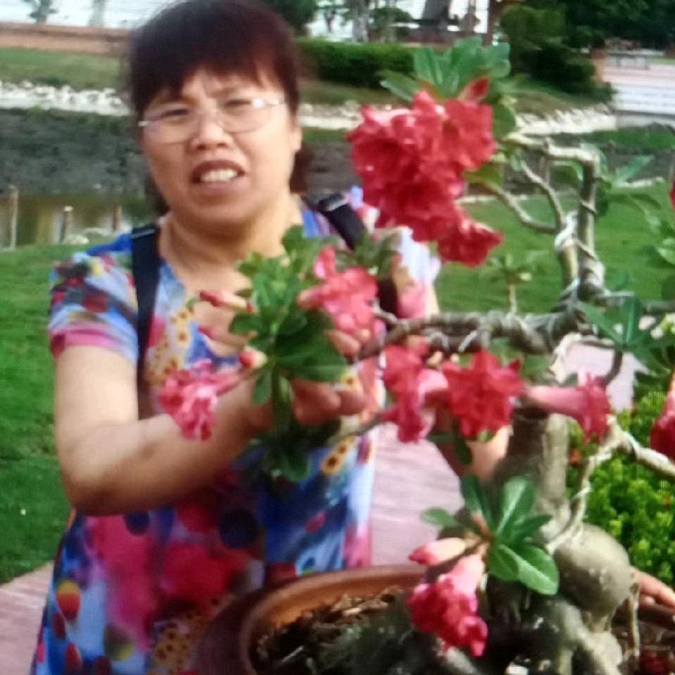赵如萍