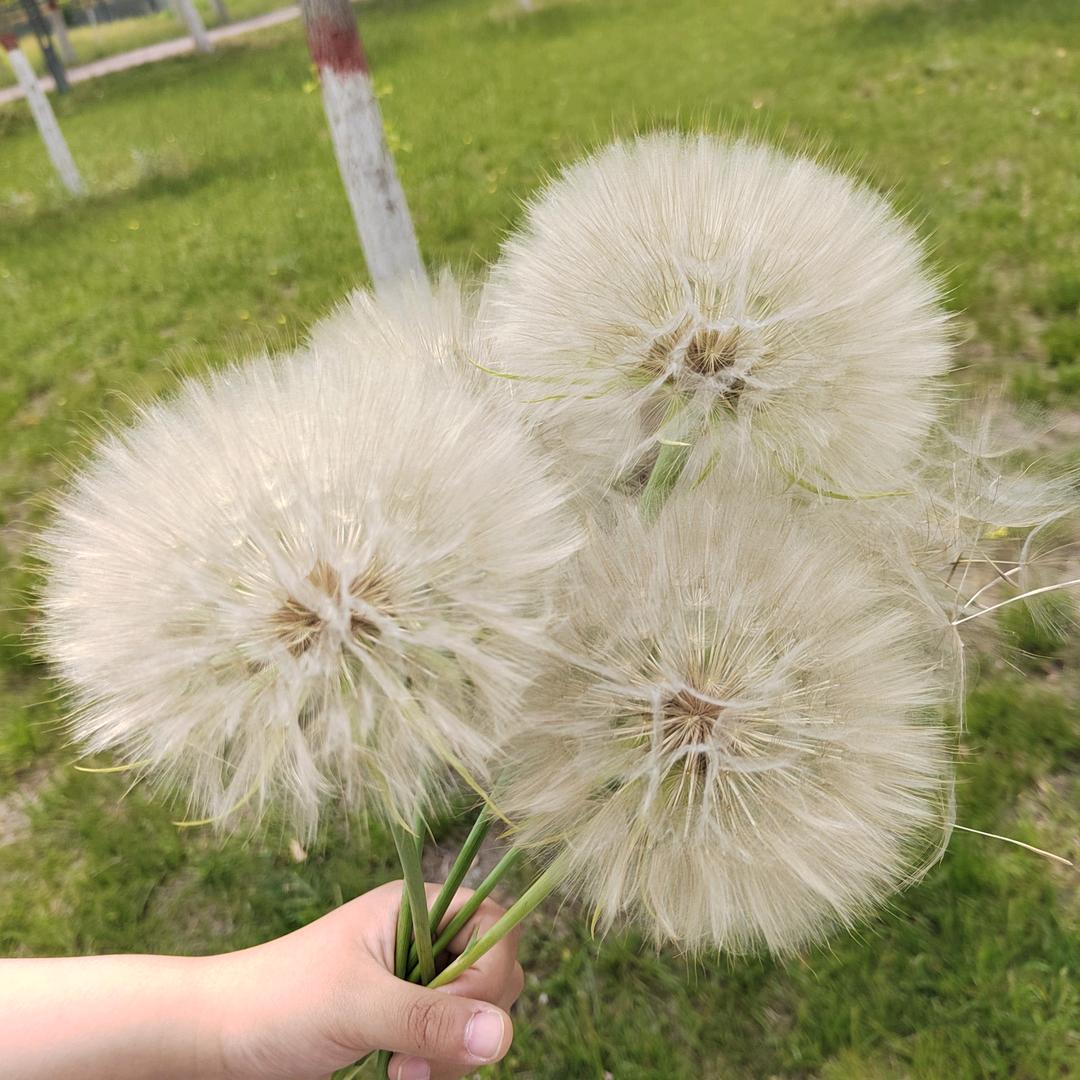 夏末秋初