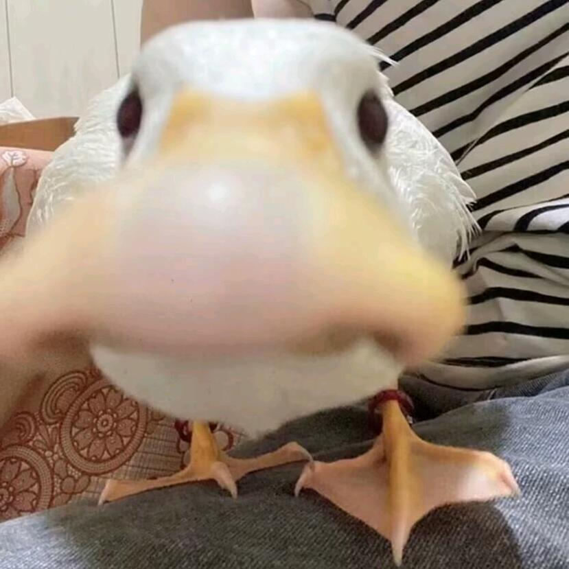 06唱片