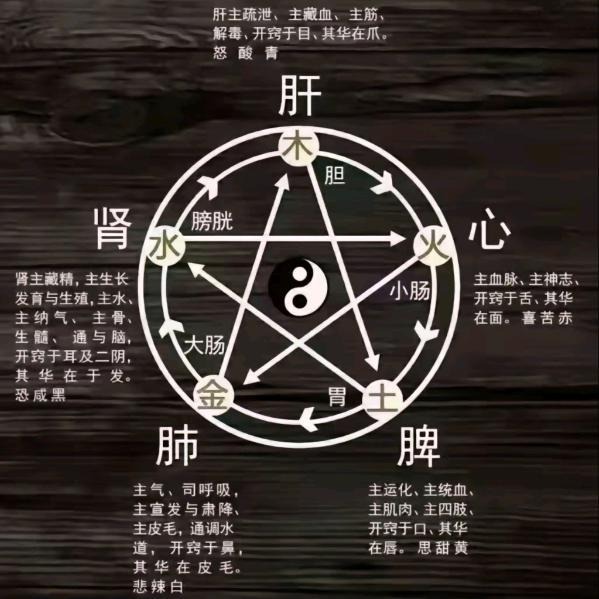 推拿正骨理疗调理疼痛小资