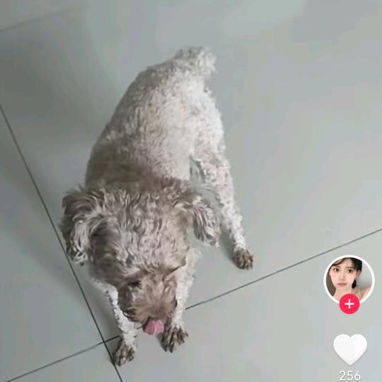 红酒大叔
