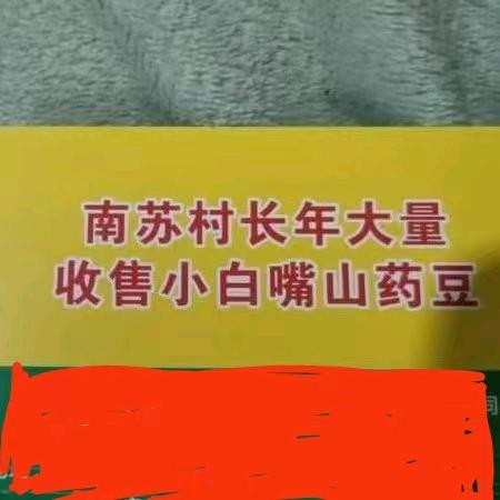小白嘴山药豆产地直供，卖豆的姐姐