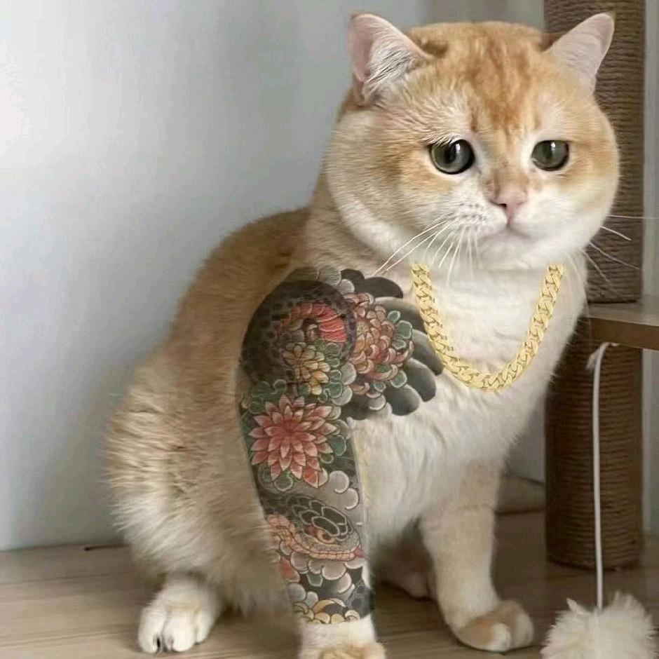 我就是我