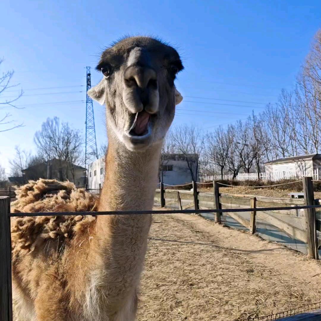 广饶轻舟好货店