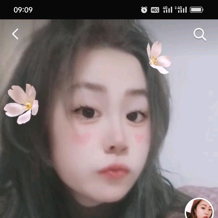 丹丹