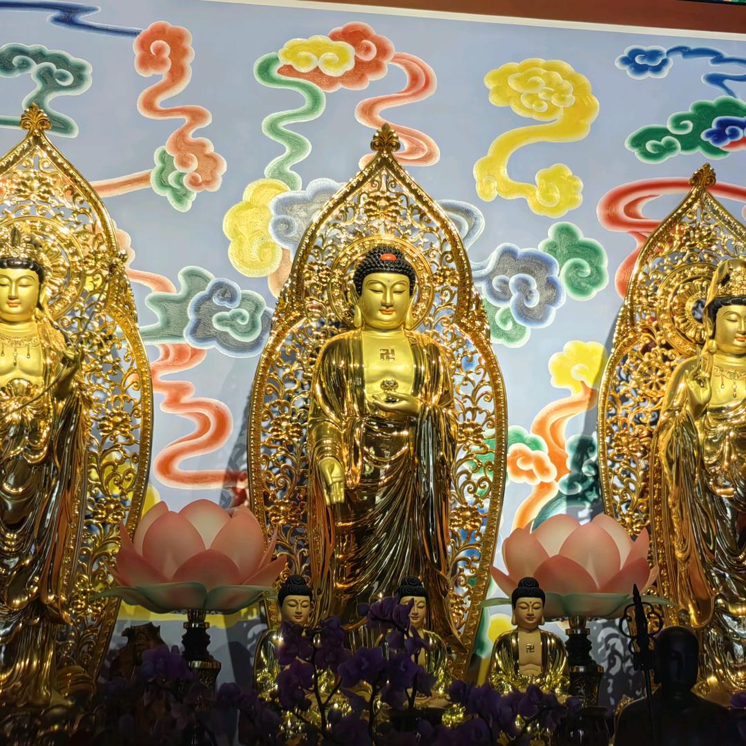 ৡ偏爱❤