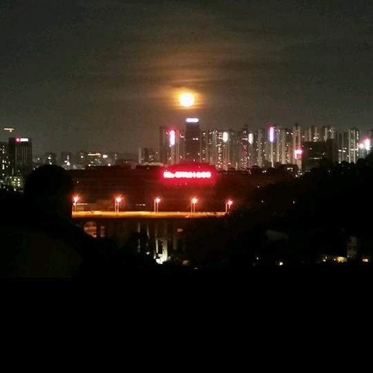 望月思你