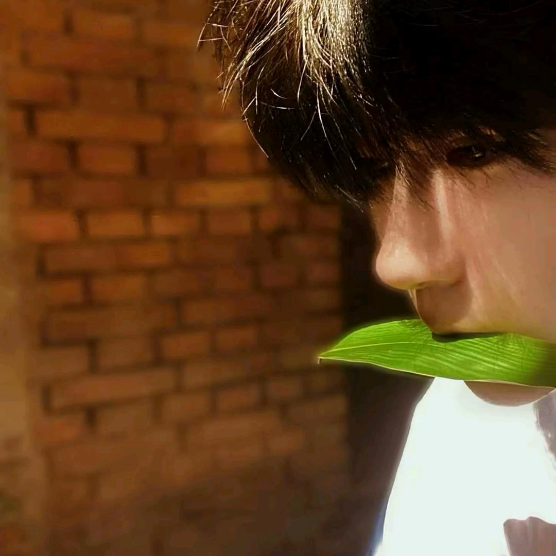 ㅤㅤ ㅤㅤㅤㅤ ㅤㅤㅤㅤㅤ反季