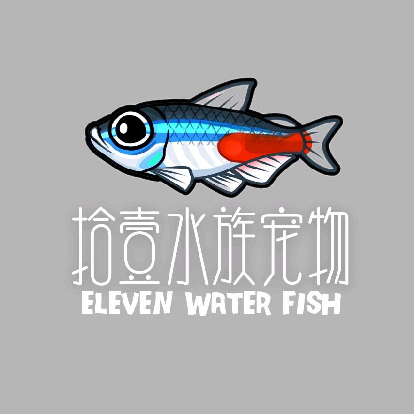 爱玩小鱼的拾壹哥-晟贝兴
