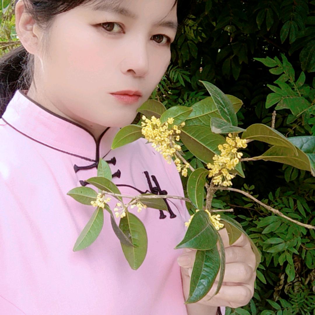 愿得一人心白首不分离