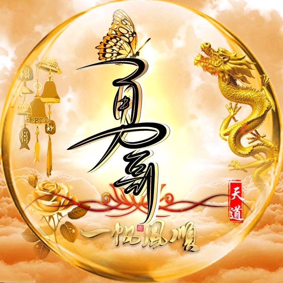 🛫✈️🐯勇哥🐯✈️🛫