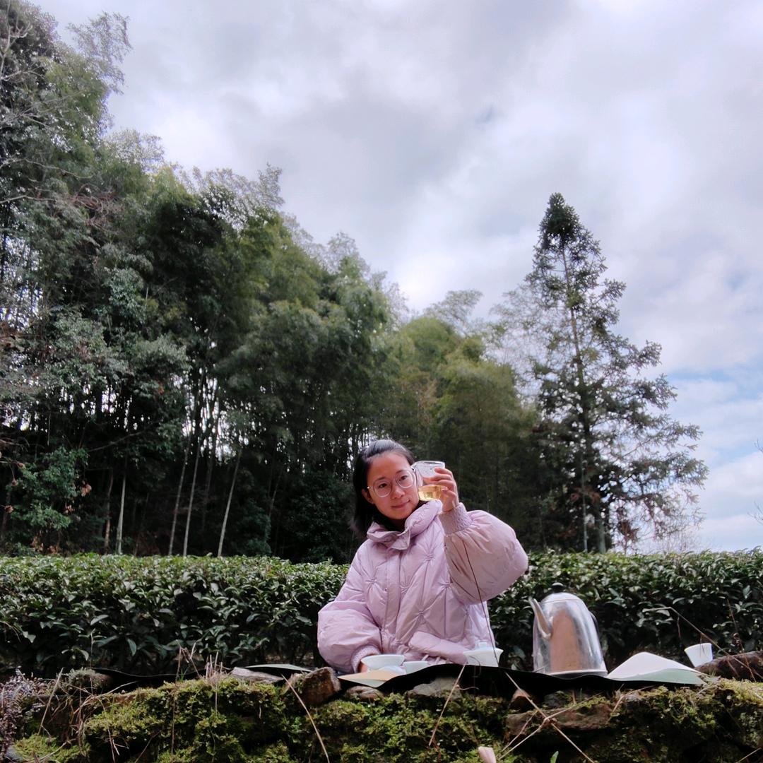 小艾的茶生活