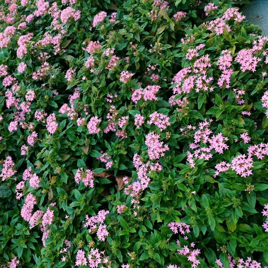 ♥往后^O^余生开心♥就好