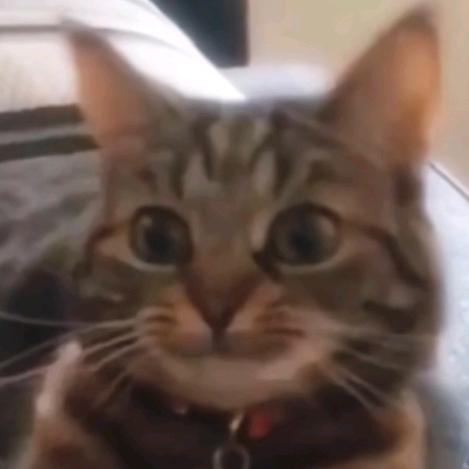 拿手好戏⑥⑥⑥