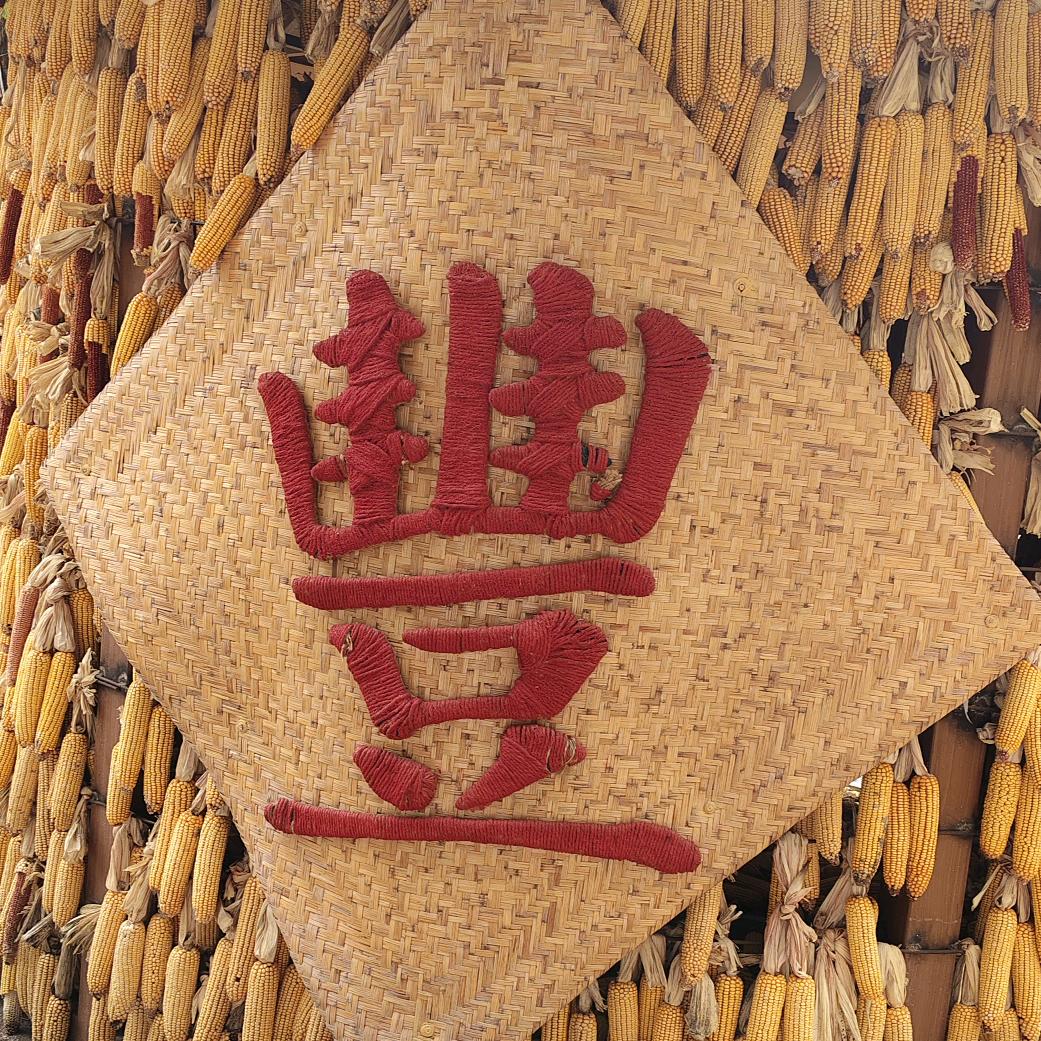 吃鱼的猫