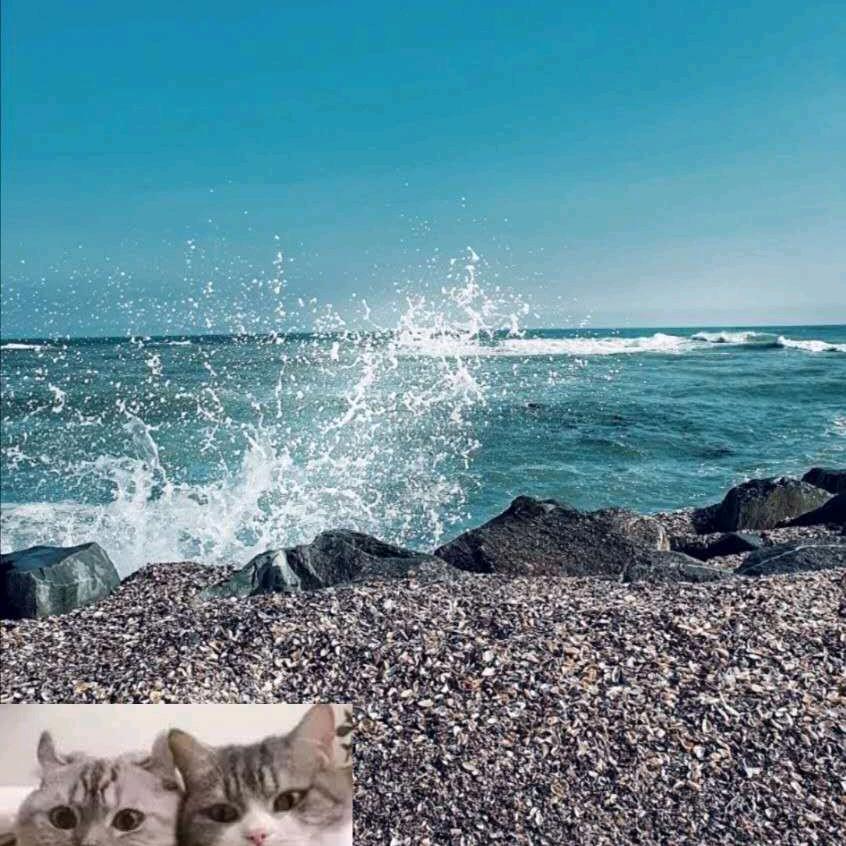 开心