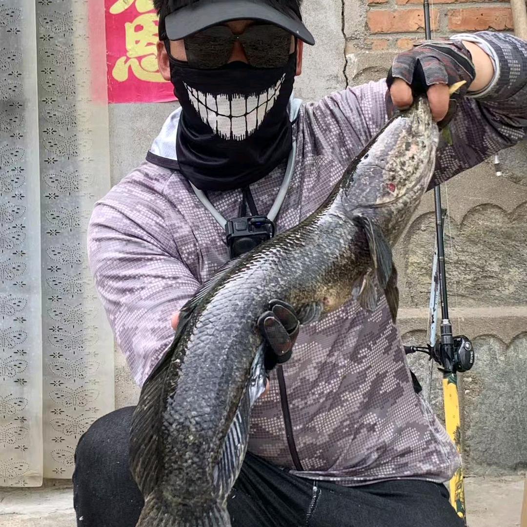 🐉G L G☞雷渔🐊