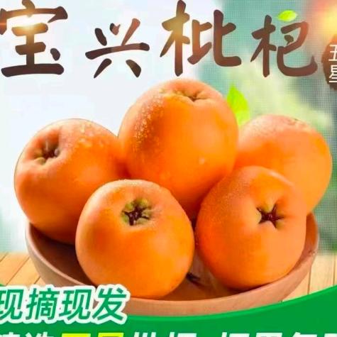 董姐姐