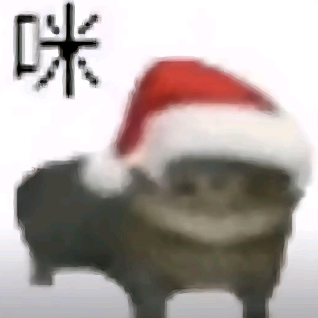 没脱单还脱发