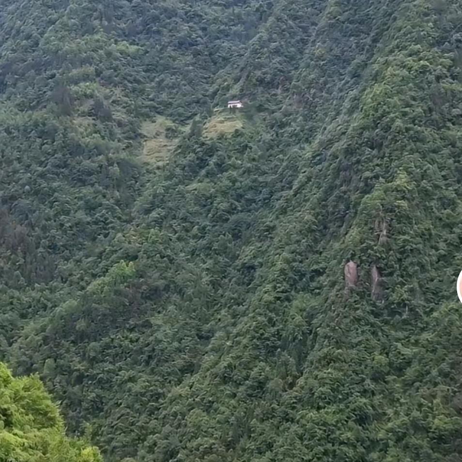 山间本草滋补养生专营店