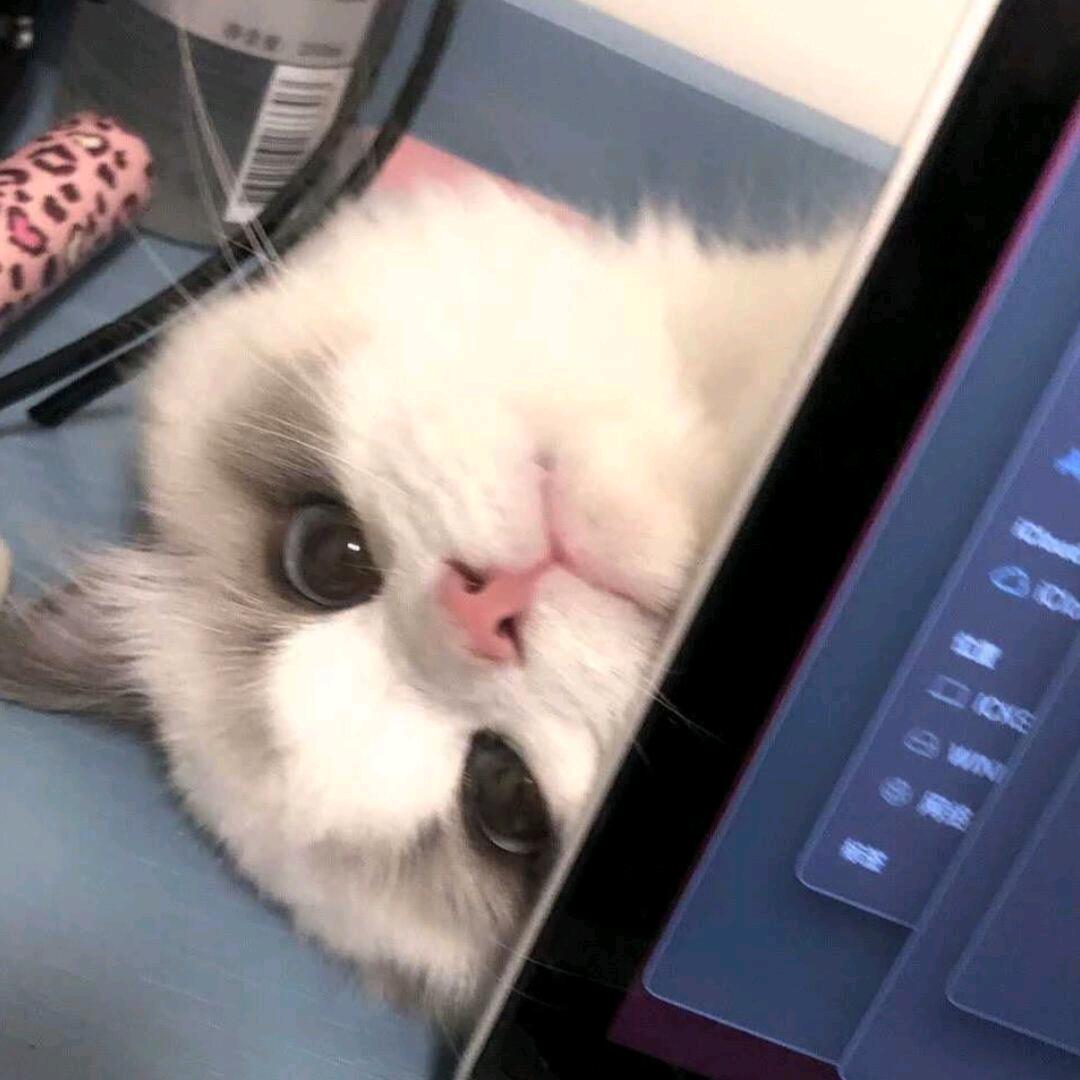 落伞