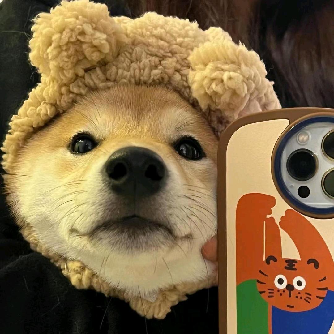 義.
