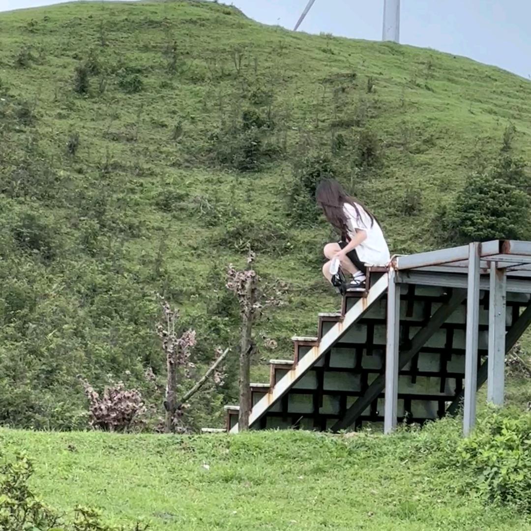 楠木
