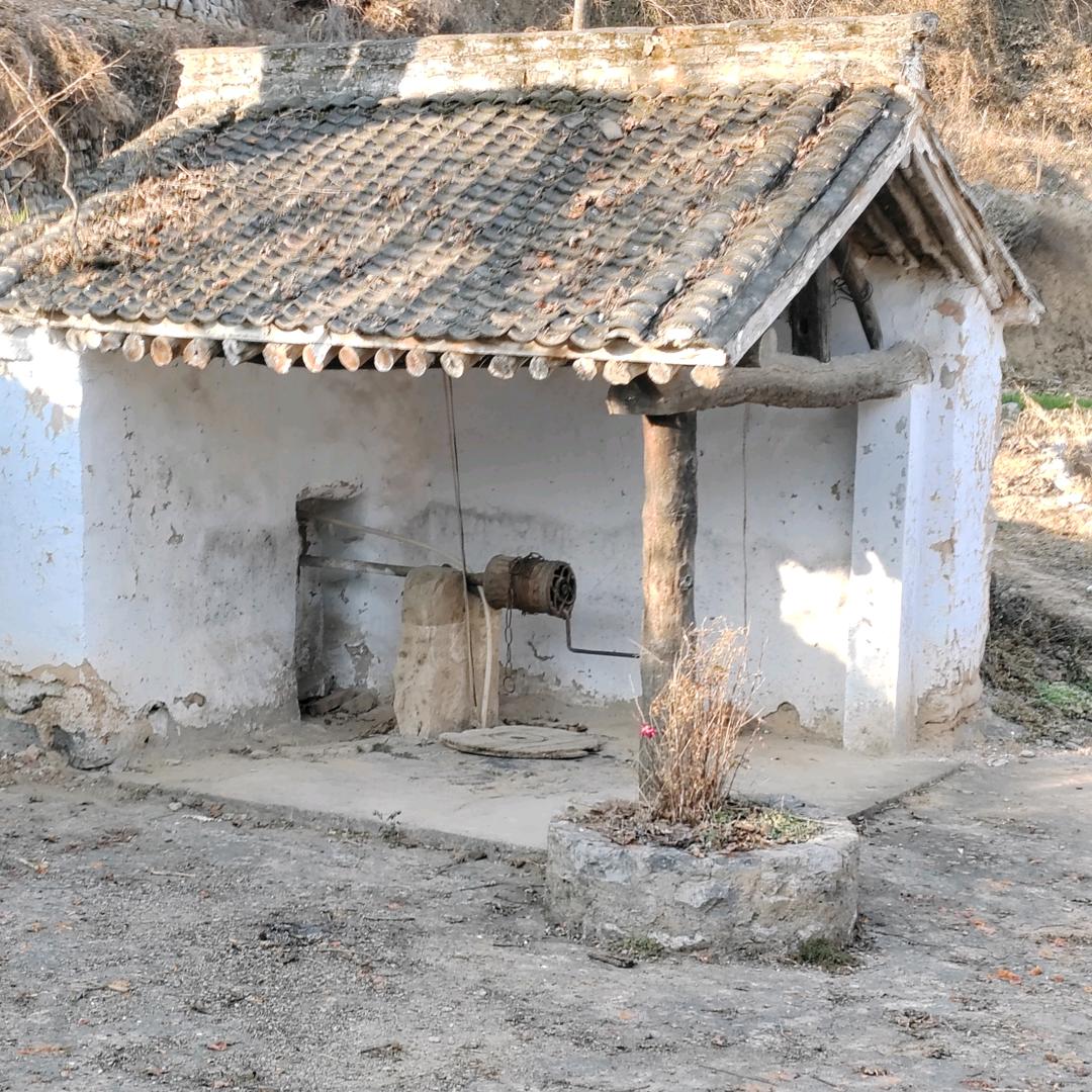 雅迪电动车(巴公晋明专卖店)专用号