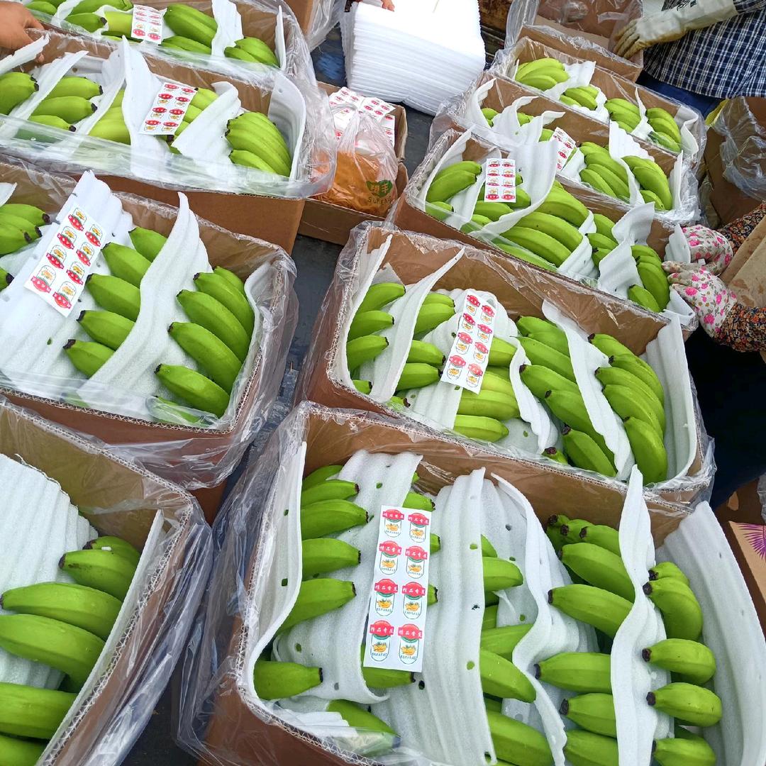香蕉包装队