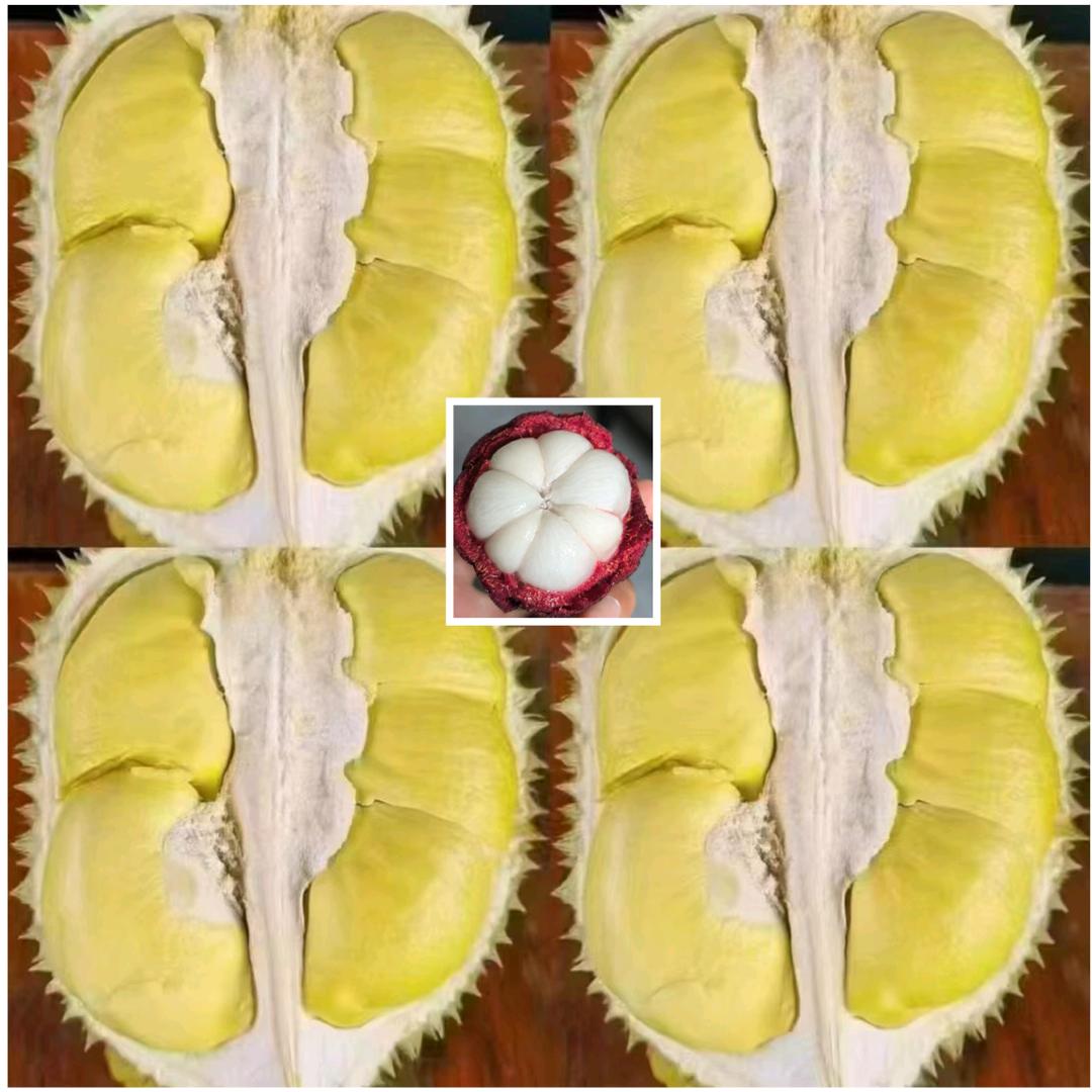 阿明&昆明水果批发市场