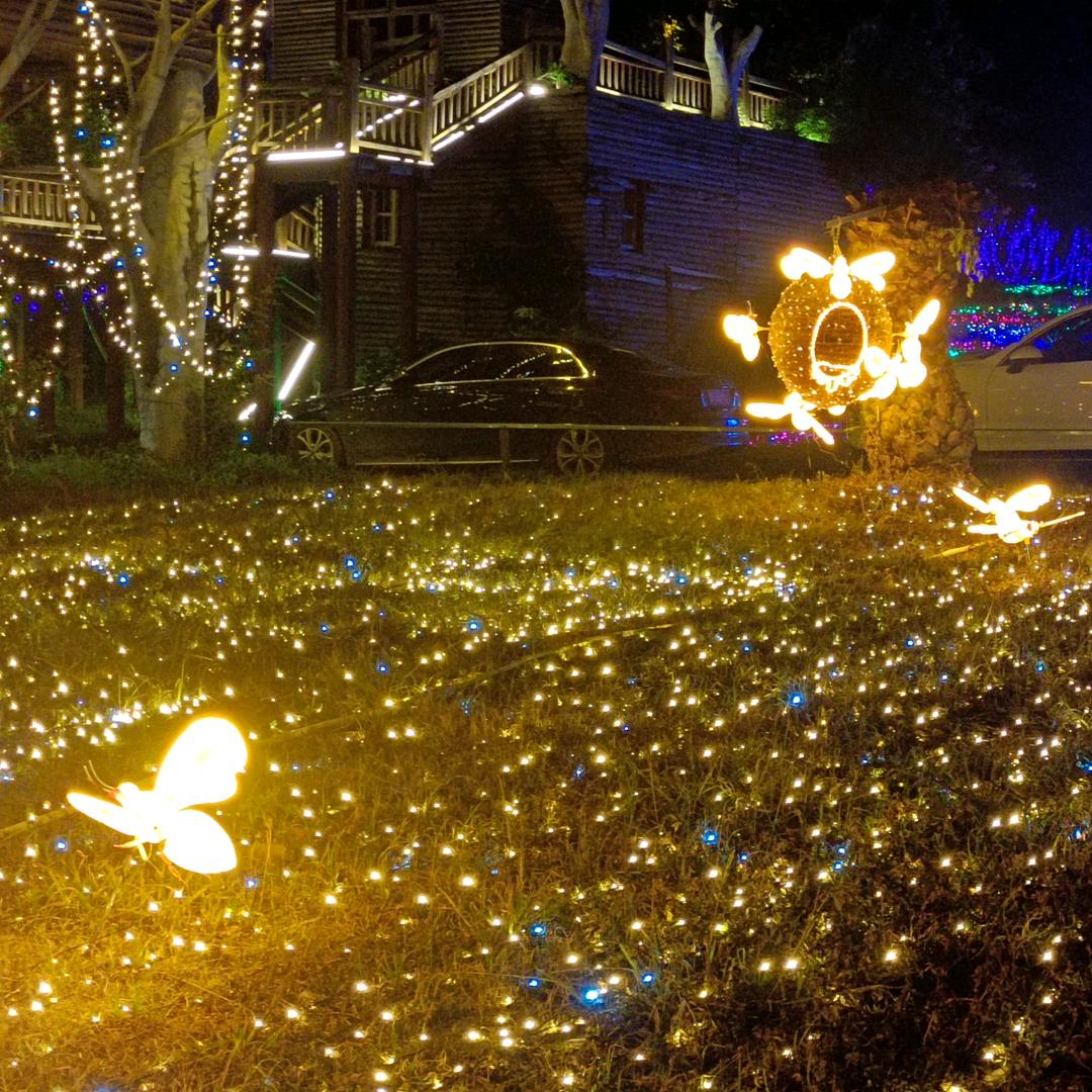 单亲妈妈。8点开播