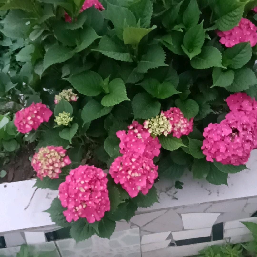 ✨爱跳舞💞小熊熊💃🏿