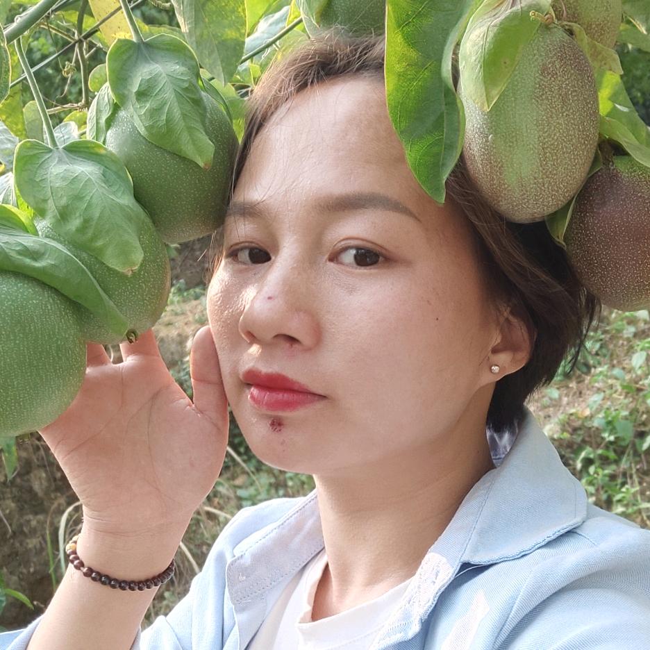 广西果苗 张小燕
