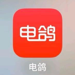 电鸽app