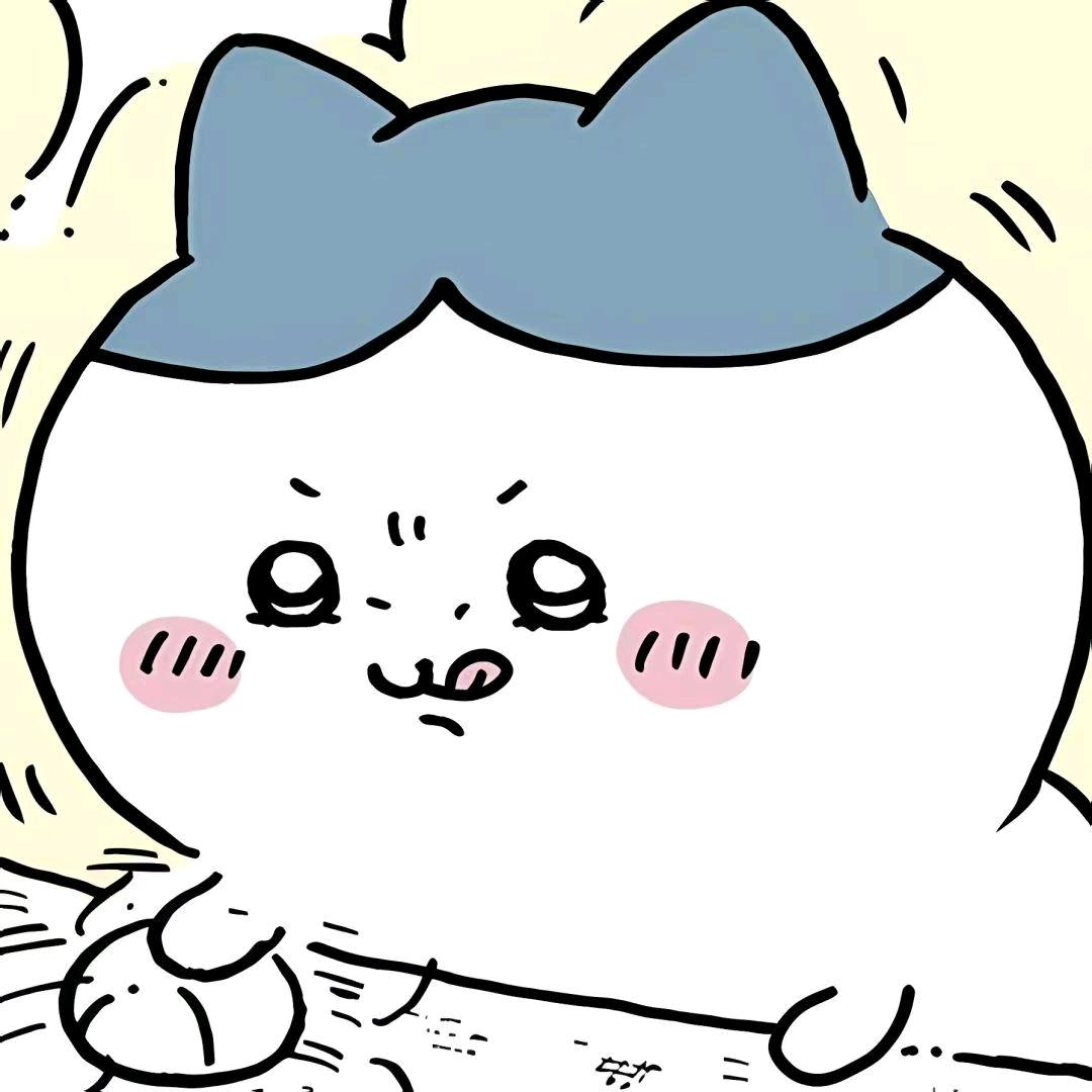 跑跑鼠鼠（三角洲代肝）