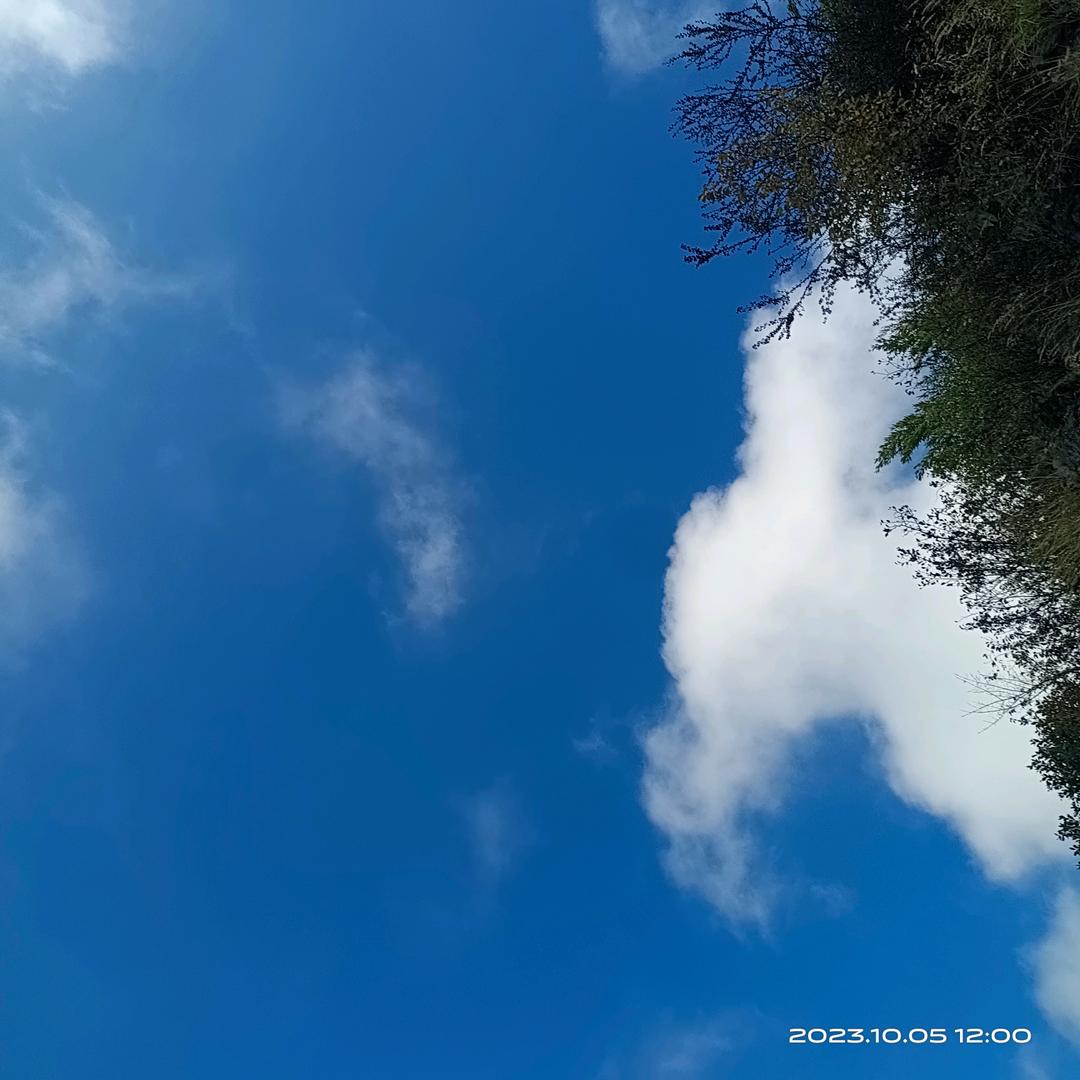 游记