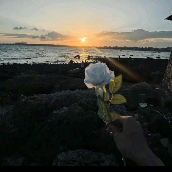 东北小伙在运城