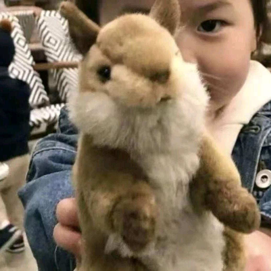 我心贼乱
