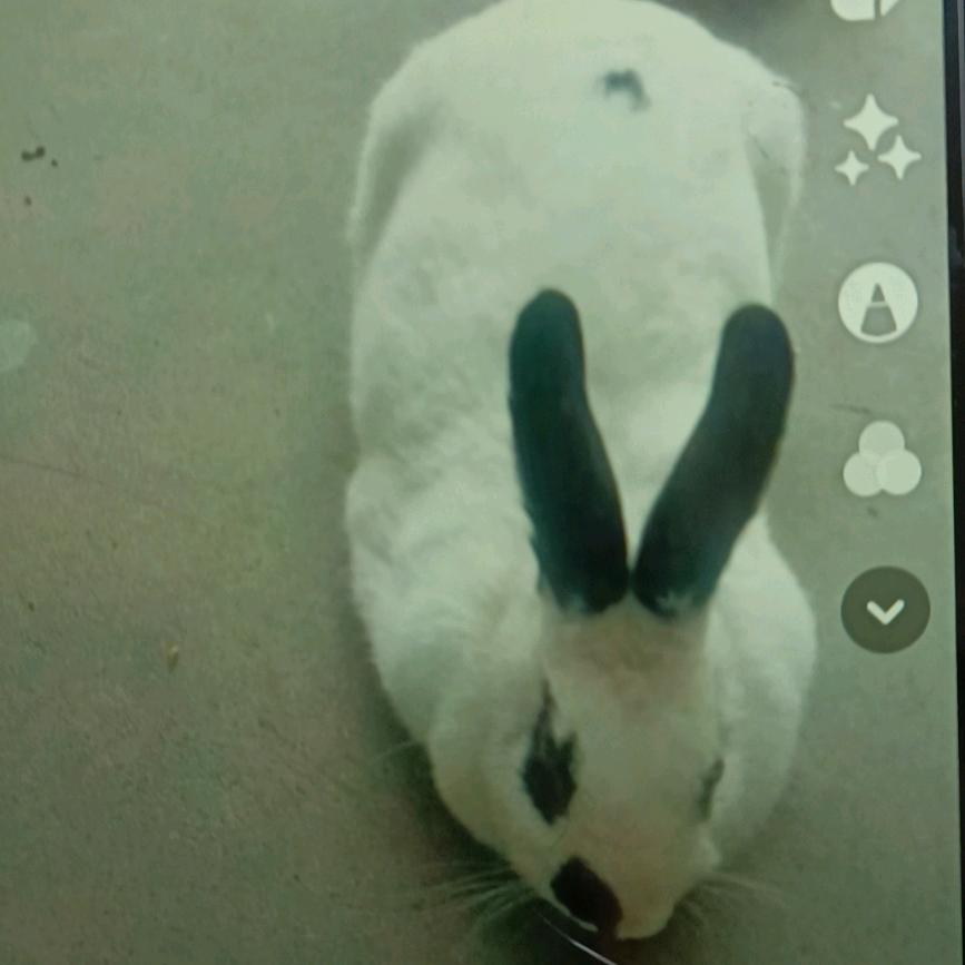 从此不再敞开心扉