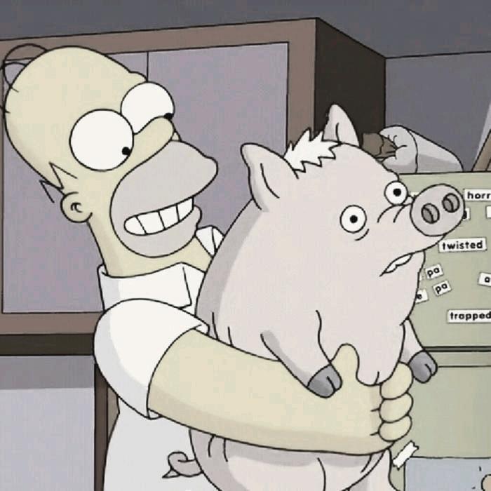 ヾ 🐖 、