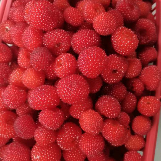 浙中鞋服尾货批发仓