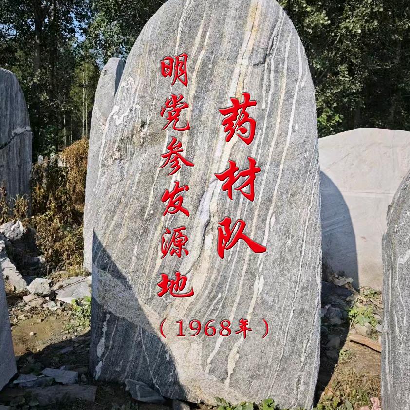 明党参道地药材溯源种植传承新农人