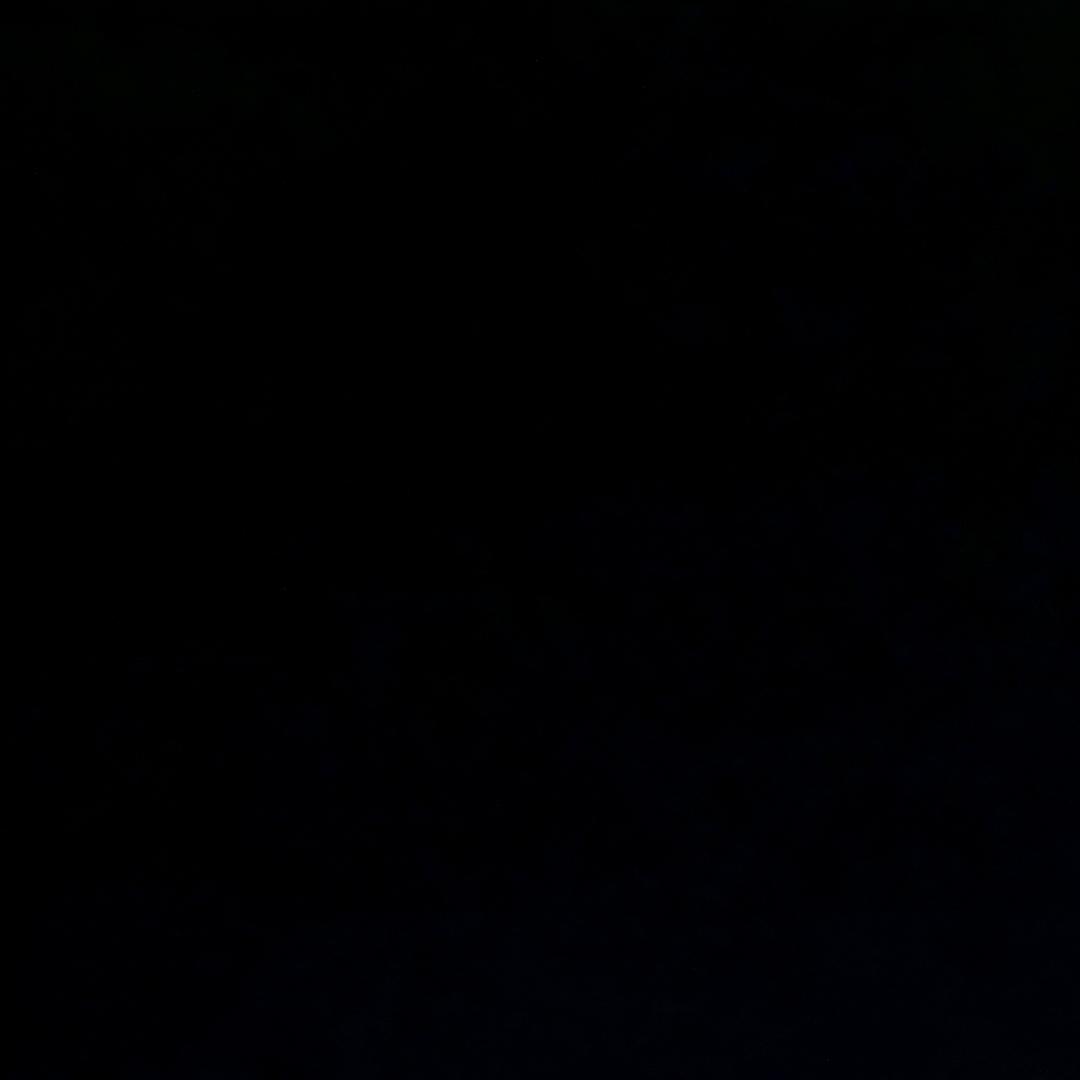 我能像你一样潇洒就好了。